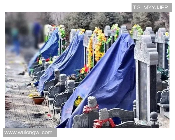 现代殡葬服务发展趋势与社会心理需求的深度分析与探讨