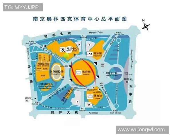 南京网球队在全国锦标赛积分榜上以67分稳居第一名展现强劲实力
